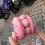 [드루와] 나 진짜 <b>팝송</b> 개개개좋아하는데