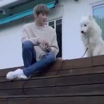 [강다니엘] <b>동족</b>끼리 어색어색 무슨일 (·ఠࡇఠ)