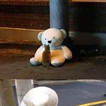 [ㅈㄱㄴ] 너네 <b>북두칠성</b> 실제로 본 적 있냐