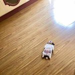 [추반ㅂㅌ] 너넨 뒷모습 사진 볼 때