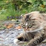 우리반 시끄러운애들 혼났는데 왜억울해함