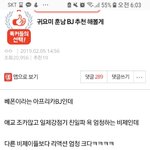 판에올라왓던 남자<b>비제</b>이 일베임