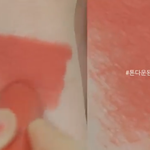 [댓글부탁해] 이거랑 색 <b>비슷</b>한 틴트 아는 사람