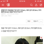 죄송)얼굴 가로 길이 13.5cm, <b>세로</b> 길이 22.5cm, 머리...