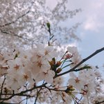 [댓글부탁해] 내 생일이라고 내일 <b>외식</b>하는데
