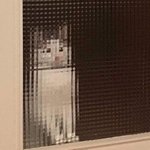 국어교사 <b>전망</b> 안좋나