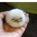 [댓글부탁해] <b>암기</b> 꿀팁 잇냐