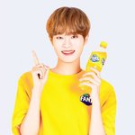 [이대휘] 환타 <b>대휘</b>