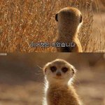 얘들아 다이어트 굶으면서하지마셈