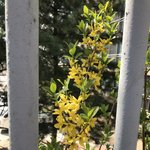 [댓글부탁해] 아 얘들아 나 <b>폴더</b>폰 쓰는데