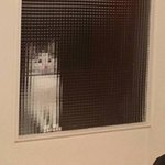 클리오쿠션 골라줘