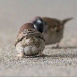 [댓글부탁해] <b>수련</b>회 장기자랑 옷