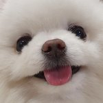 야야 독서실 가기전