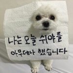 요즘 뭐 입고 댕기냐