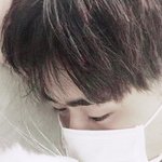 [댓글부탁해] +추가)급해ㅠ <b>동물</b>짤좀 주라ㅠㅠ