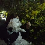[강아지] 멍멍이는 <b>잡식</b>이라더니..