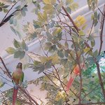 저의 반<b>려조</b> 산타또맹이를 소개합니다!