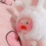 과하고 이상한 <b>패턴</b>으로 까이는 가수들