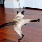 [ㅋㅋㅋㅋㅋ] 터찌마빠레~우린 조금씩 빠르게~~에븰<b>바레</b>~~