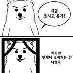 일주일 <b>뒤</b> <b>내</b> 모습