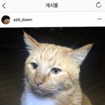 [드루와] 나 화장 어떡해야 하는 거지