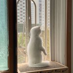 [고양이] 다들 울<b>집</b> 뚝백<b>이</b>(고양이) 보구가세욥~~~~~~~