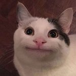 [댓글부탁해] <b>연성대</b> 어땡??