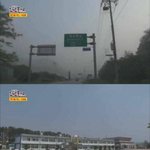 [댓글부탁해] 태어나서 <b>채식</b>만한 아이.jpg