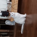 <b>밀크</b>와의 동거