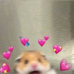 [댓글부탁해] <b>애쉬</b>브라운이 웜톤이랑 찰떡이지????????