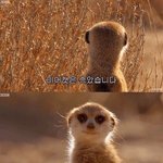 [모두드루와] 걸그룹 시장 망하게 한 <b>원흉</b>