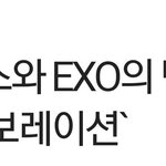 [EXO] 슴 돌았냐