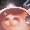 <b>집</b>이랑 <b>밖</b>이랑 성격 다른 사람ㅠ