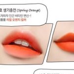 [댓글부탁해] 틴트 뭔톤이야