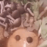 말하고 있는 <b>찌개</b>ㅋㅋㅋ