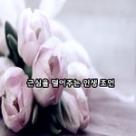 [좋은글귀] 근심을 덜어주는 인생 조언