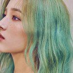 <b>동물상</b> 아닌 장미상 女돌