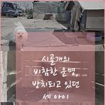 시골개의 <b>비참</b>한 운명, 방치되고 있던 세아이