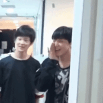 [NCT] 앨범 어디서 사??