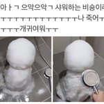 ㅅㅂ 수학여행때 짝남 꼬시거싶ㅜ당