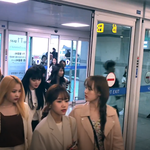 [댓글부탁해] <b>위키</b>미키 베트남 출국 반가워