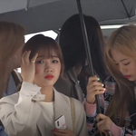 [댓글부탁해] <b>위키</b>미키 베트남 출국 잘 다녀와