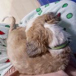 <b>바보</b>개 같지않냐