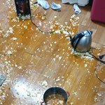 ㅇㄴ 보기만해도 마음아픈짤 <b>뿌림</b>