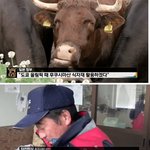 [모두드루와] <b>현재</b> 일본 후쿠시마 근황