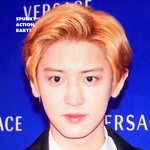[EXO] 찬열이 얼굴로 세계<b>평화</b>