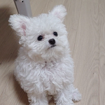 [드루와] 너네도 이럼 기분 ㅂㄹ임?