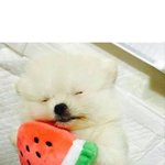 [댓글부탁해] 짝<b>남</b>이 나 좋아하는거 <b>티</b>내주는데