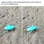 [댓글부탁해] 단발인데 체육대회때