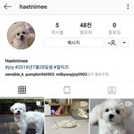 [모두드루와] 레드벨벳 조이의 새로운 개인 인스타그램 계정